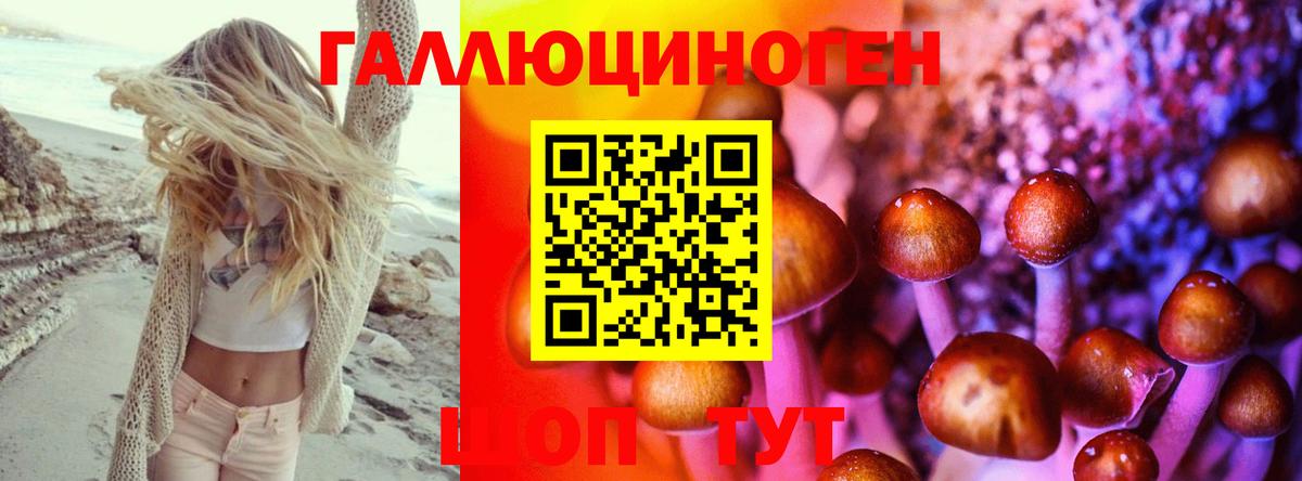 Галлюциногенные грибы GOLDEN TEACHER  Вход с VPN  Ялта 